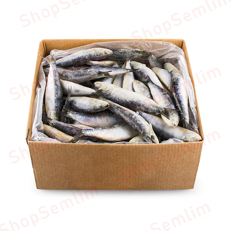 Sardinha-Caixa.jpg