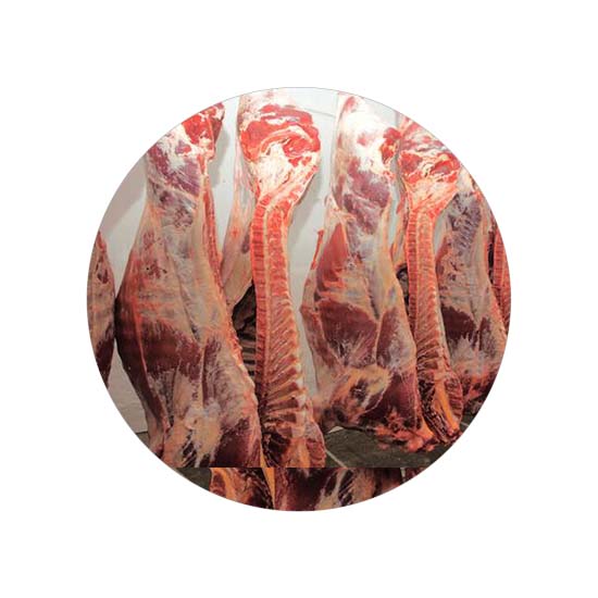 carne-de-vaca-abatida.jpg